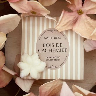 Coffret de 4 décors fondants parfumés Bois de Cachemire