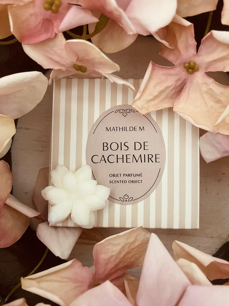 Coffret de 4 décors fondants parfumés Bois de Cachemire