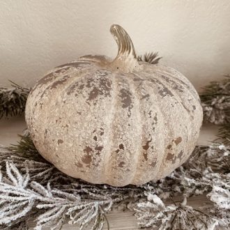 Citrouille d’hiver