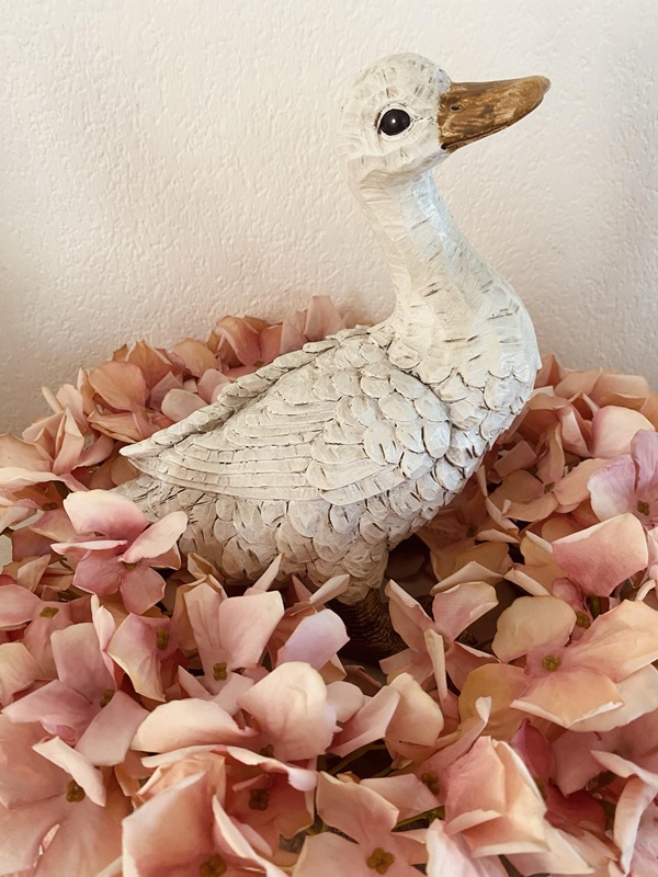 Dame canette – Image 2