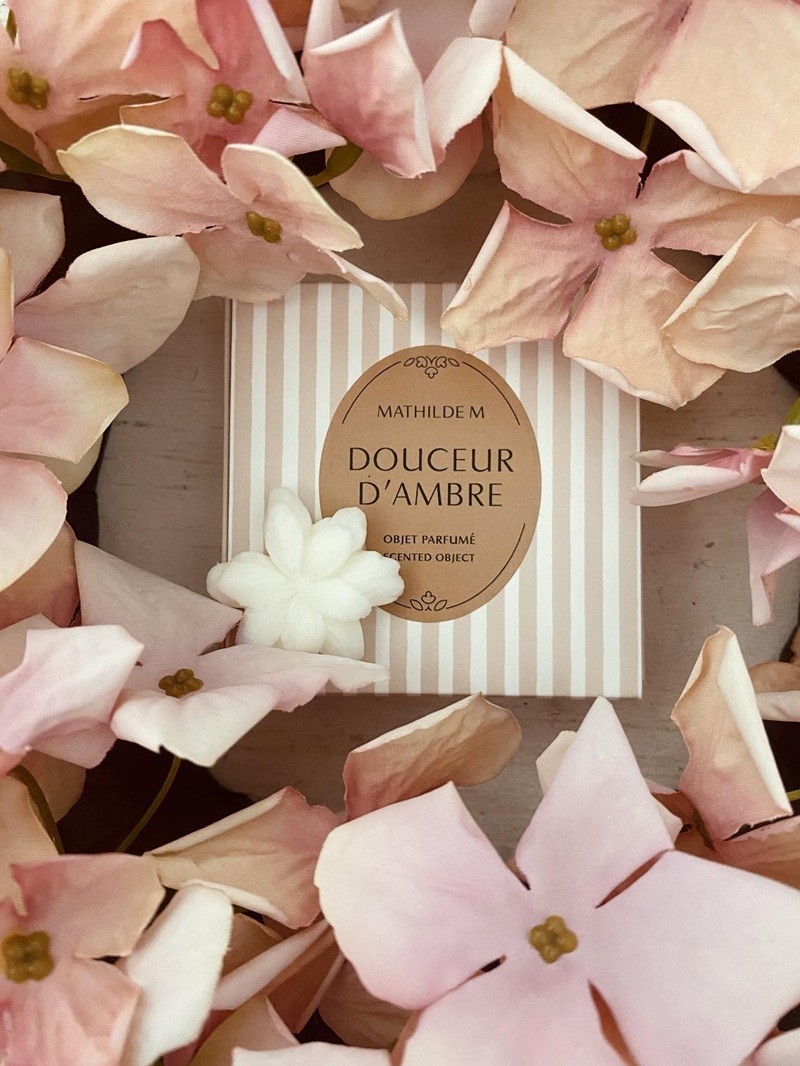 Coffret de 4 décors fondants parfumés douceur d’ambre