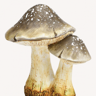 Champignons