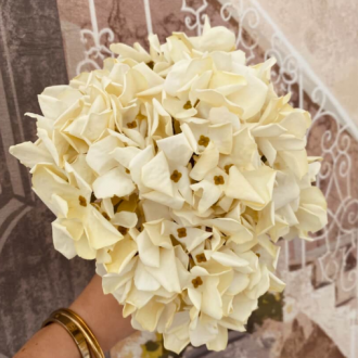 Hortensia Beige