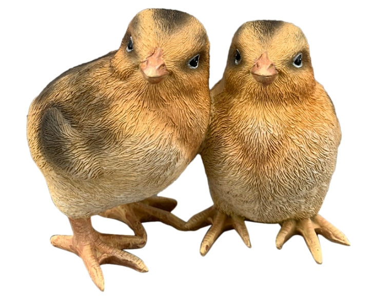 Poussins – Image 2