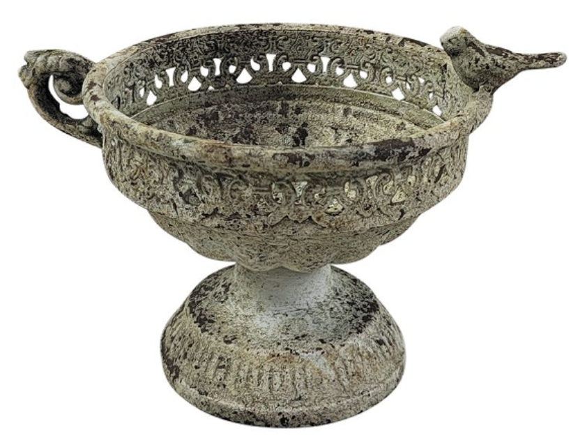 Médicis oiseau – Image 2