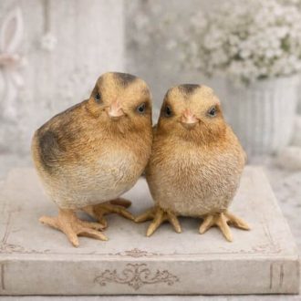 Poussins