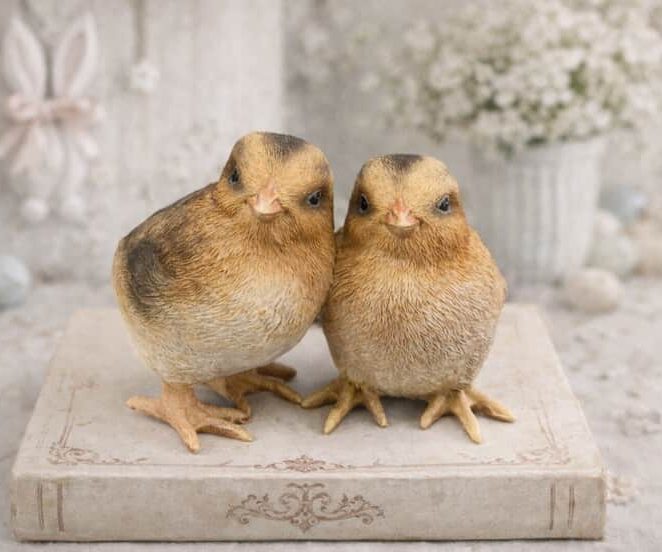 Poussins