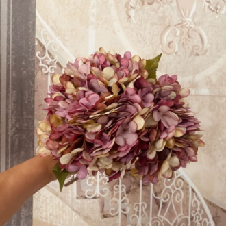 Hortensia