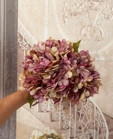 Hortensia